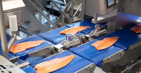 PremiumFood. Control de producción